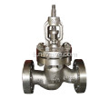 Valve de globe en acier duplex de chapeau de boulon